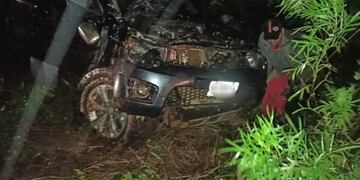 Árbol caído sobre la ruta casi causa una tragedia en Ruiz de Montoya.