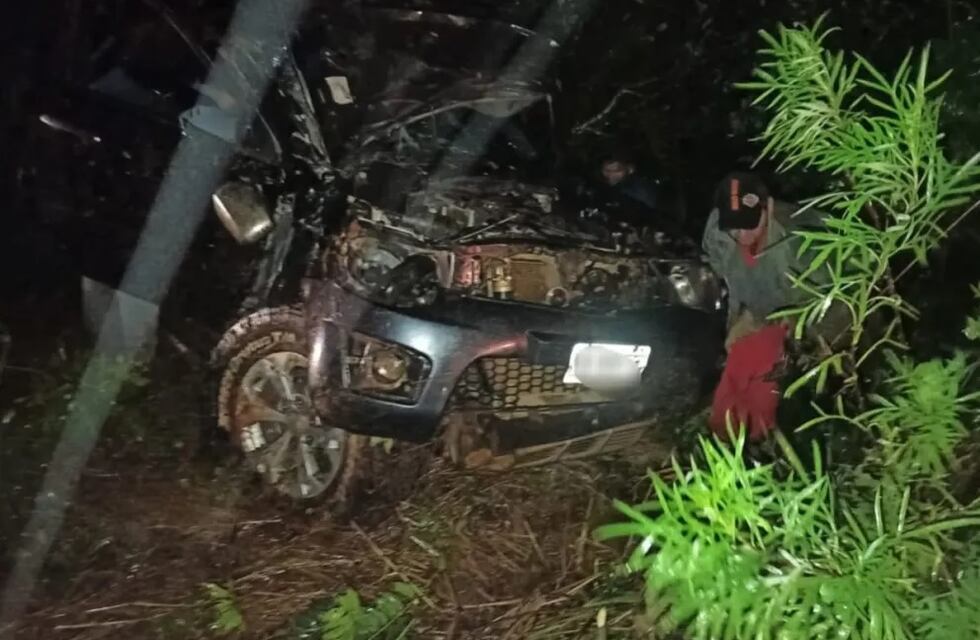 Árbol caído sobre la ruta casi causa una tragedia en Ruiz de Montoya