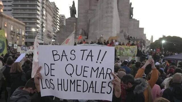 Cada vez hay más presiones para avanzar con la Ley de Humedales.