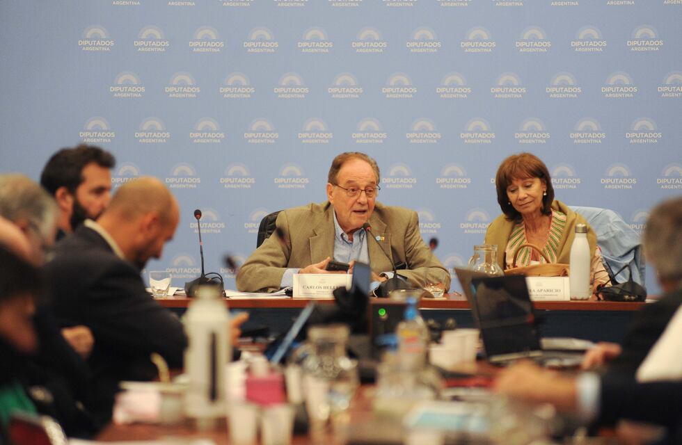 Principio de acuerdo en Diputados: acercan posiciones para modificar el proyecto con el FMI