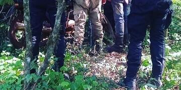 San Pedro: detienen a dos hombres acusados de tala ilegal y rozado