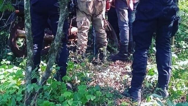 San Pedro: detienen a dos hombres acusados de tala ilegal y rozado