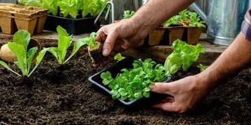 Taller de huerta en la Universidad del Medio Ambiente.