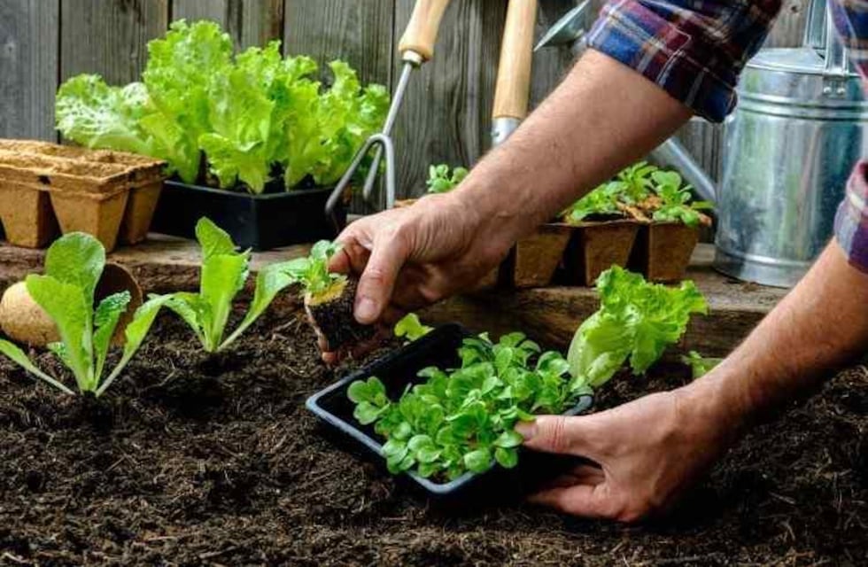 Día Mundial de la Tierra: la provincia se suma a las acciones de concientización