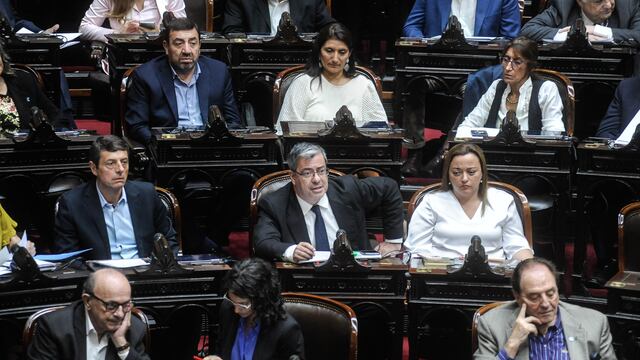 Diputados de Unión por la Patria buscan prohibir el pago desdoblado de jubilaciones (Foto: Federico López Claro)