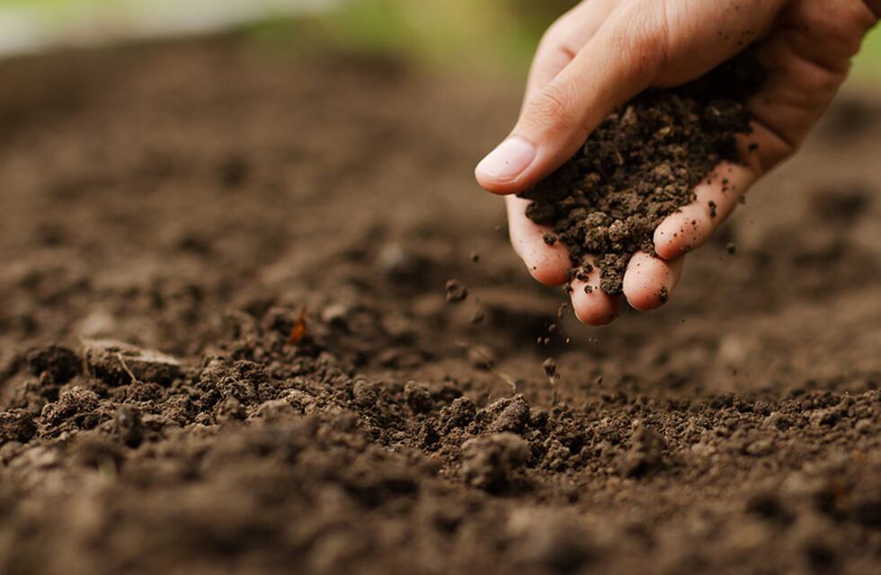 Somos el 2% del almacenamiento del carbono mundial en nuestro suelo