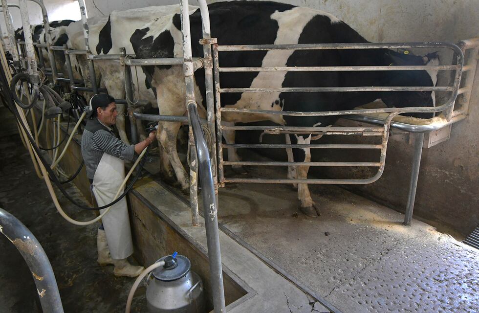 La suba del precio de la leche y los costos de producción