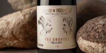 El mejor vino de Argentina según un especialista.