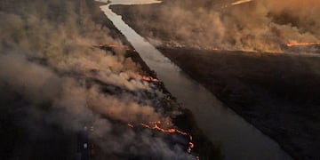 La imagen que compartió en su momento Alberto Fernández por los incendios en el Delta del Paraná.