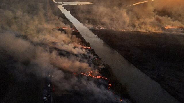 La imagen que compartió en su momento Alberto Fernández por los incendios en el Delta del Paraná.