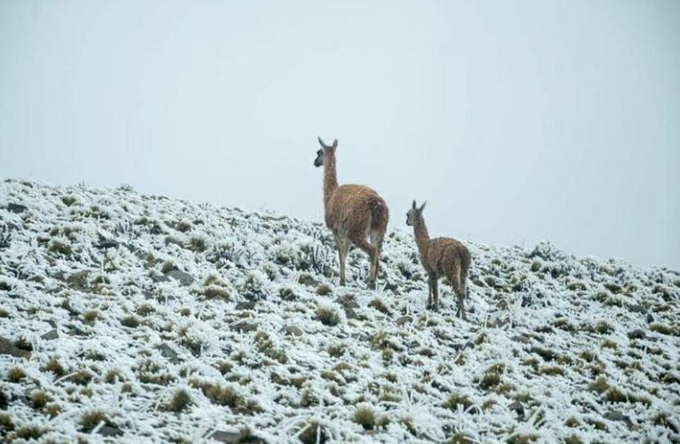 Postales de la primera nevada en Villavicencio