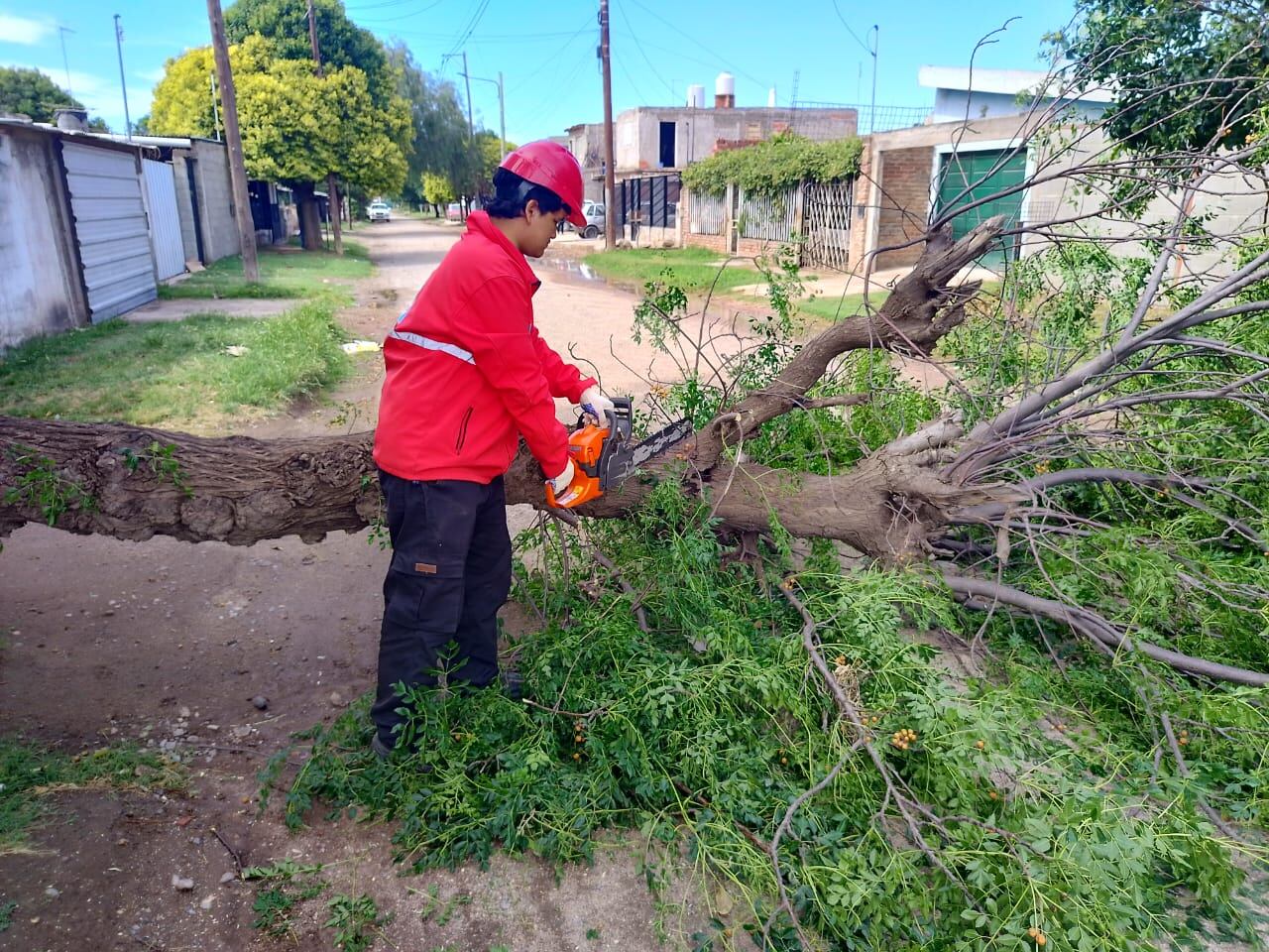 Clima. Lo que dejó la tormenta en la ciudad de Córdoba. (Municipalidad)