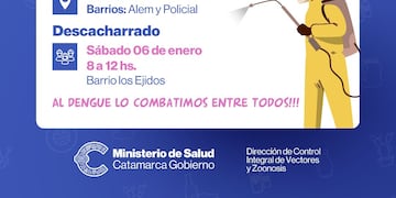 Cronograma Dengue.