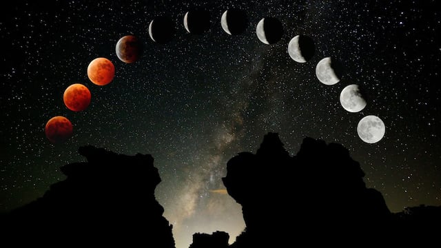 Enterate cómo funcionan los conceptos claves tales como signos, casas, ciclos y ascendentes.