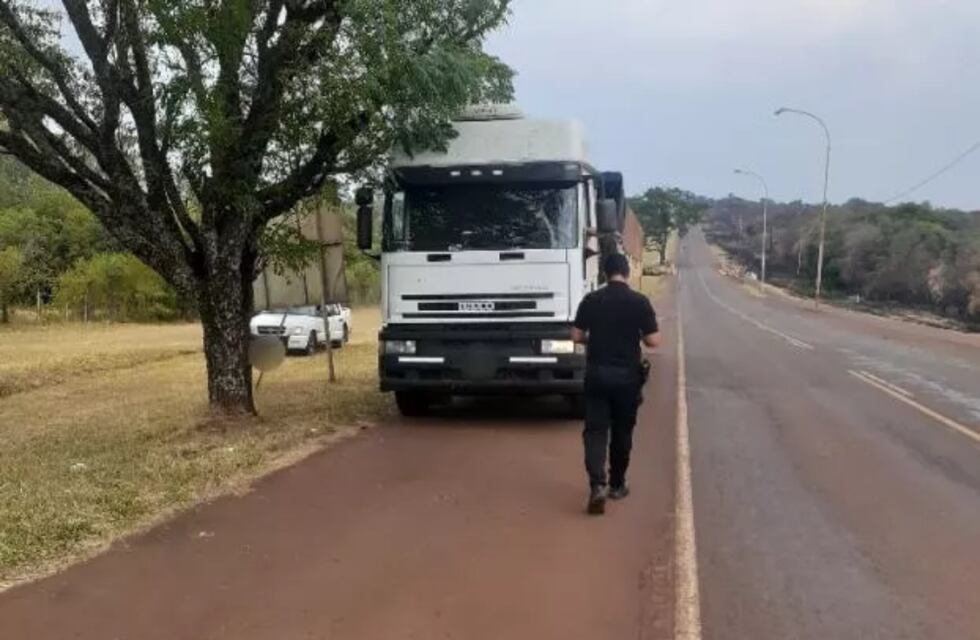 Incautan más de mil cueros vacunos sin aval aduanero en San José