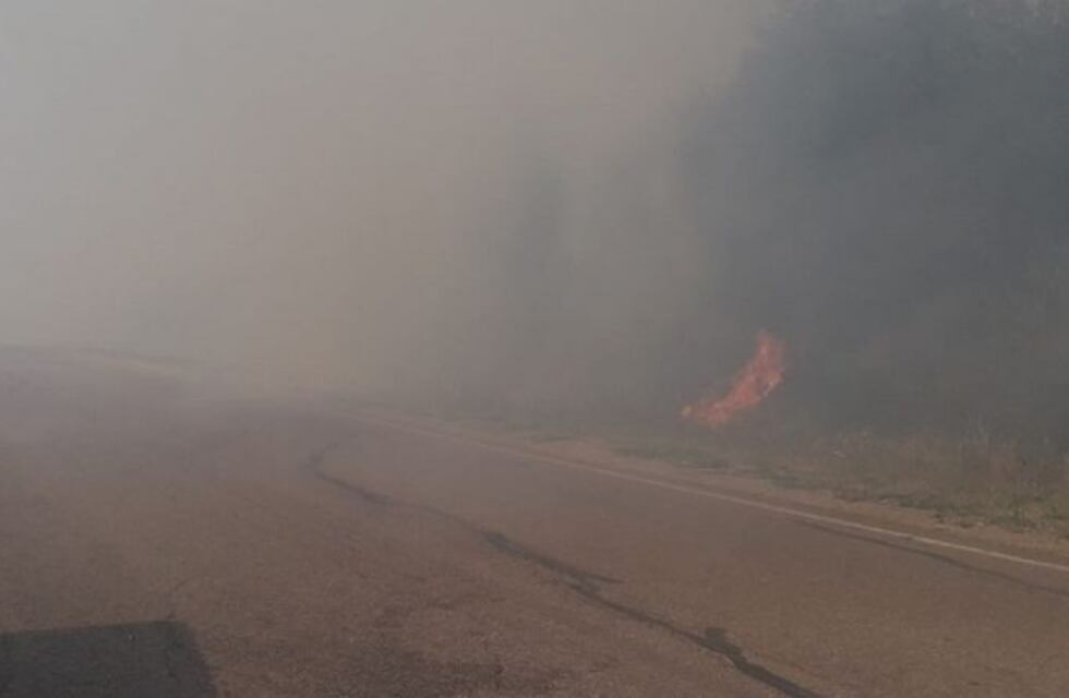Más de 1200 hectáreas presentan incendios forestales en Santa Rosa