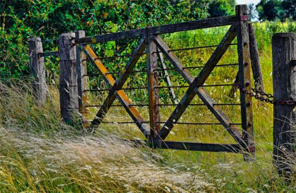 Crimen en Villa Paranacito: una mujer fue hallada sin vida en su campo