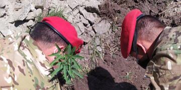 Parte del personal de la Compañía de Ingenieros Paracaidista IV del Ejército Argentino, plantando uno de los 50 árboles nativos. (Foto: prensa / Municipalidad VCP).