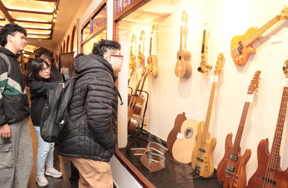 Construcción de Violín, Guitarra y Charango