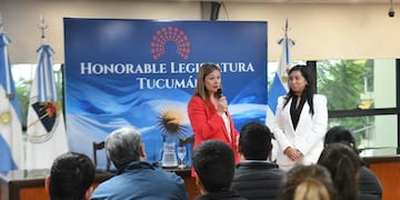 Fue tema de un encuentro en la Legislatura