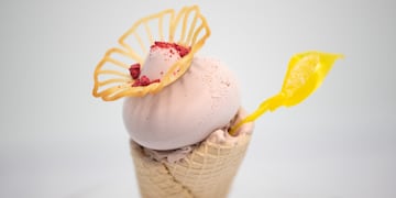 En el marco de una enorme exposición, se hará la Copa América del Helado Artesanal. (Foto: Prensa)