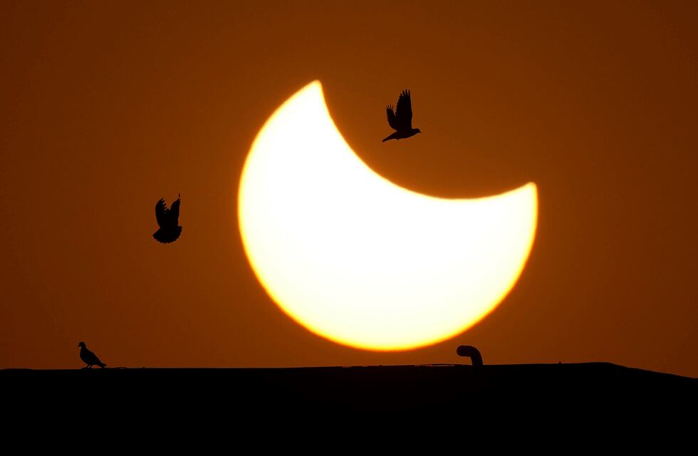 De esta forma afectarán los 2 eclipses de octubre a cada uno de los signos del zodíaco