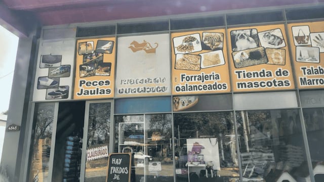 Clausuraron dos veterinarias truchas en Córdoba.