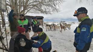 Asistieron a familias varadas en alta montaña.
