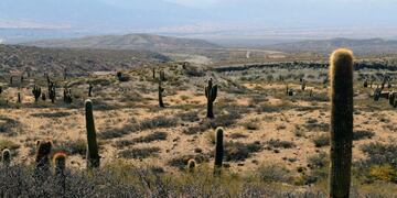 Por el momento, sigue habilitado el turismo interno. (Agustín Lautaro/Unsplash)