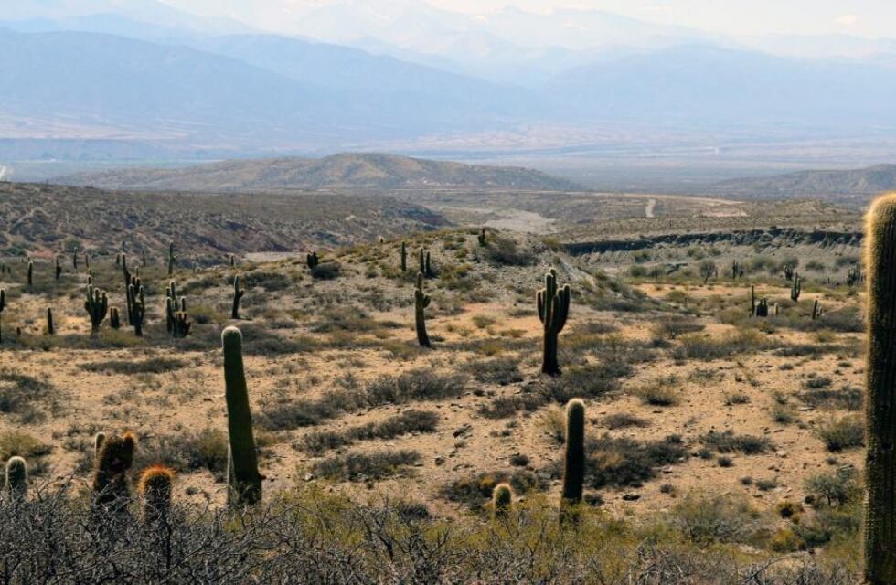 Tras los anuncios presidenciales empezaron las cancelaciones a agencias de turismo salteñas