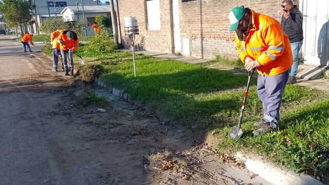 Informe semanal de Higiene Urbana de Tres Arroyos