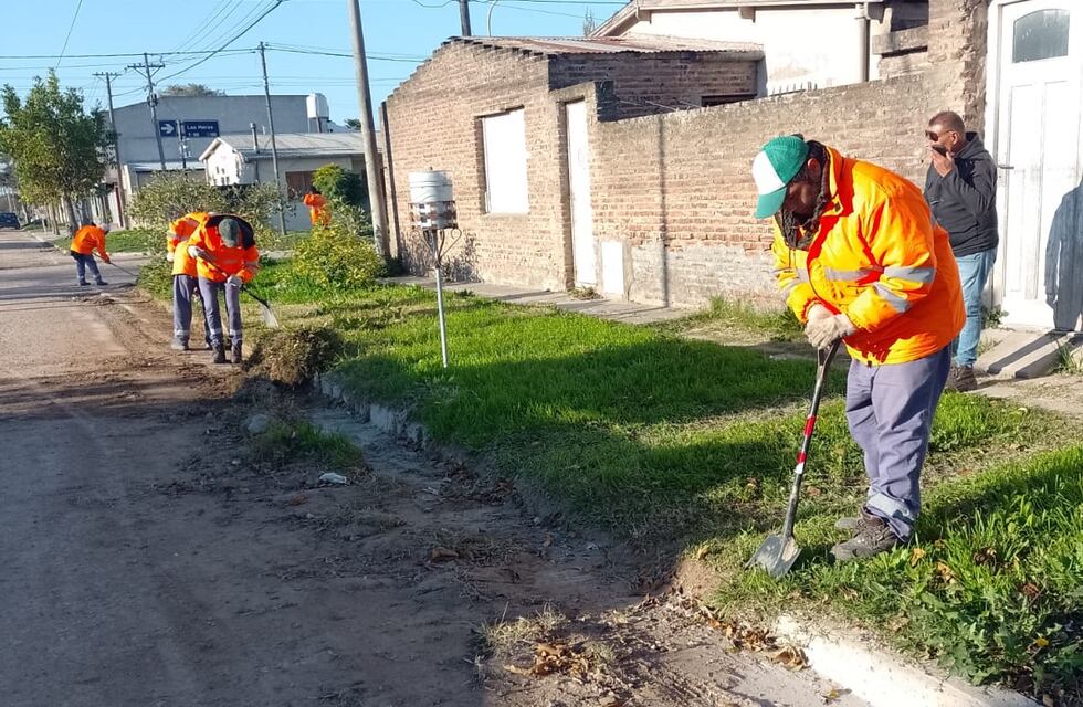 Informe semanal de Higiene Urbana de Tres Arroyos