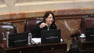 La senadora Carmen Álvarez Rivero se disculpó por sus declaraciones sobre el Hospital Garrahan. (Archivo / Clarín)