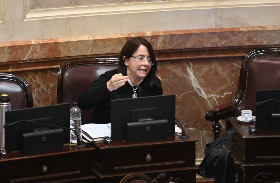 La cordobesa Carmen Álvarez Rivero sobre su postura del Garrahan: “Les pido mis más sinceras disculpas”