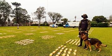 Secuestraron marihuana en Puerto Iguazú.