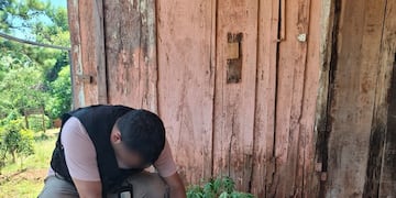 Secuestraron más de 11 kilos de marihuana en una vivienda de Leandro N. Alem.