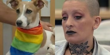 Susto en Gran Hermano 2024: Arturo casi muerde a Furia por defender a Martín Ku