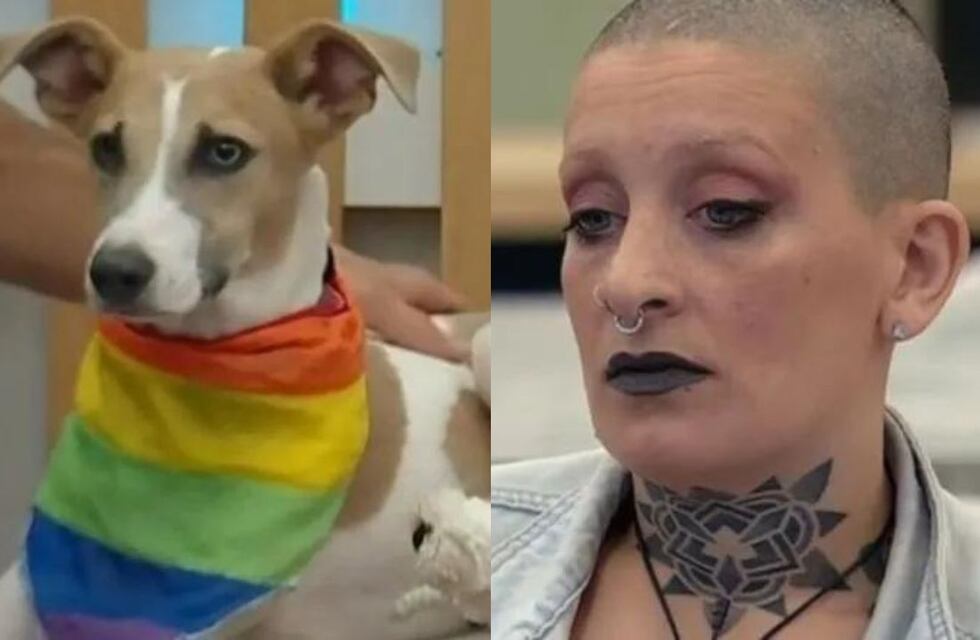 Susto en Gran Hermano 2024: Arturo casi muerde a Furia por defender a Martín Ku