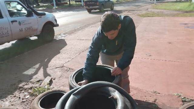 Operativos de control de vectores en Eldorado.