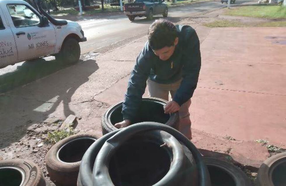 Operativos de control de vectores en Eldorado