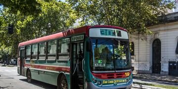 Mientras asaltaban a unos platenses en plena calle, un micro interrumpió el robo.