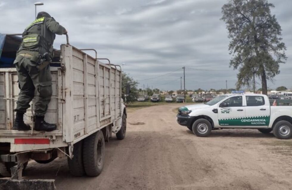 El Soberbio: interceptaron un camión con 56 toneladas de soja ilegal