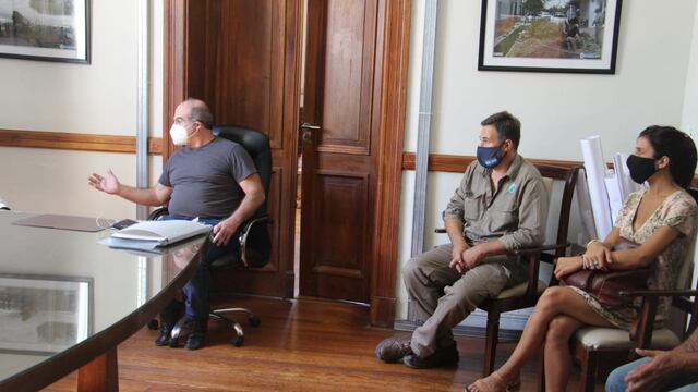 Reunión para establecer estrategias de vacunación de Covid 19 en Tres Arroyos