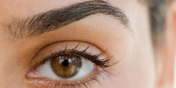 La contracción central de las cejas es una señal típica de duda o inseguridad en contextos sociales.