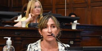 Mercedes Llano, Diputada del Partido Demócrata.