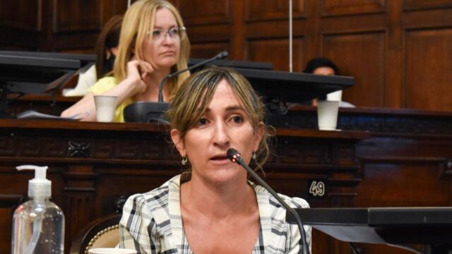 Mercedes Llano, Diputada del Partido Demócrata.