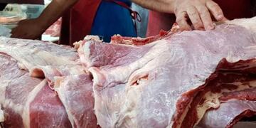 La funcionaria destacó que se vendieron más de 10 toneladas de carne sólo en Resistencia.