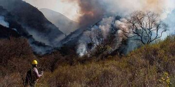 Incendios forestales.