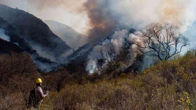 Incendios forestales.