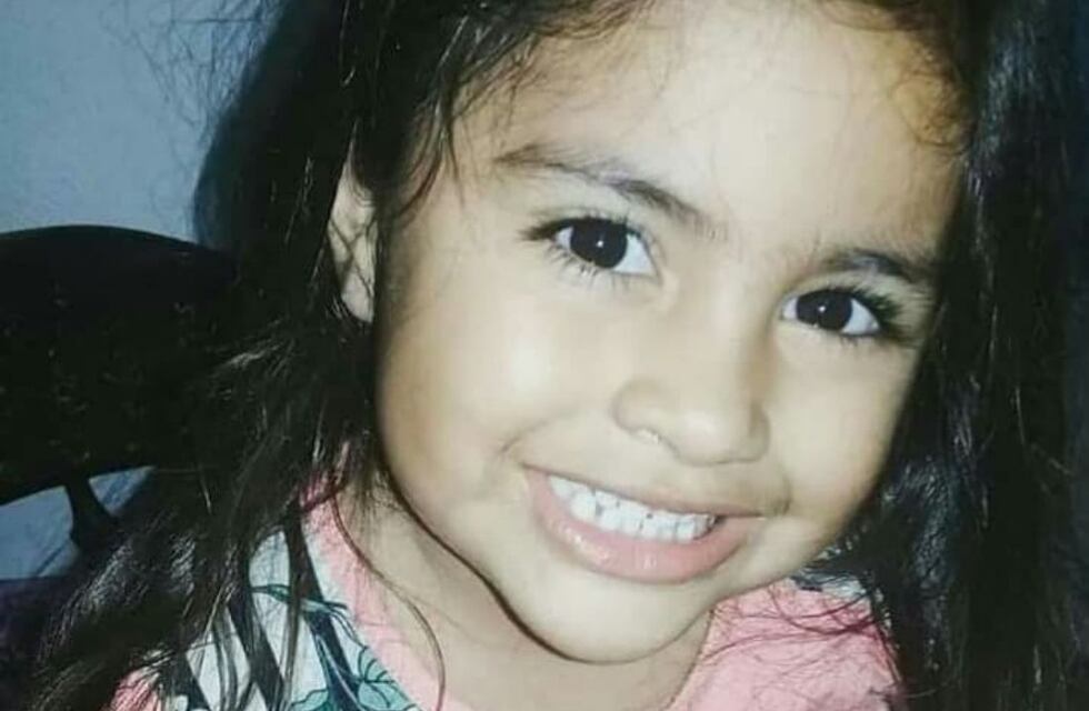 Así es el trabajo de los perros de búsqueda que intentan dar con la pequeña Guadalupe